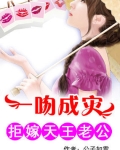 一吻成灾:拒嫁天王老公