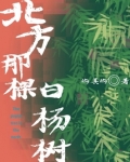 北方的白杨树图片