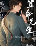 被迫营业的算命先生日常宝书网下载