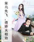 笨鸟先飞，得娇夫相助
