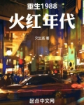 重生1988火红年代