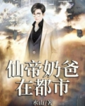 仙帝奶爸在都市