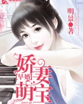 早婚之娇妻萌宝