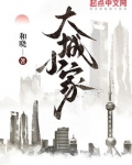 大城小家小说