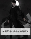 护国天龙:英雄战斗的传说