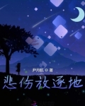 我们一起将悲伤放逐小说