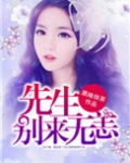 先生,别来无恙 小说