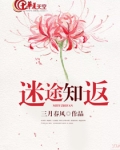 迷途知返