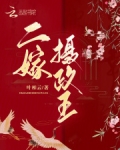 二嫁王妃完结版