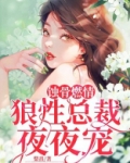 蚀骨燃情:狼性总裁夜夜宠小说