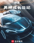 神豪男神类小说