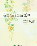 我真没想当反派啊 三千风雪
