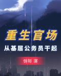 重生官场:从基层公务员干起(饼师)_