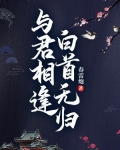 与君相逢，白首无归