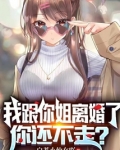 小说我跟你姐离婚了你还不走