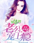 甜宠娇妻老公抱抱我
