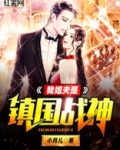 我姐夫是镇国战神百度百科