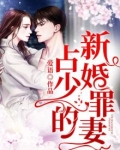 占少新婚罪妻结局