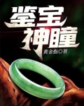 鉴宝神瞳