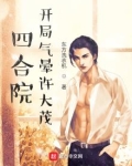 四合院:开局气晕许大茂