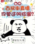 古玩街直播：你管这叫捡漏？