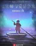 哈利波特中的魔法师与爱情公寓