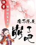 错绑了情敌的系统后小说