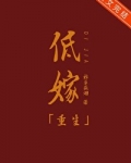 低嫁（重生）