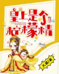 皇上是谁小说