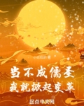 当不成儒圣我就掀起变革TXT
