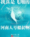 我真是飞翔的河南人号船长啊百度百科