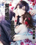 契约婚姻:总裁别惹我 小说