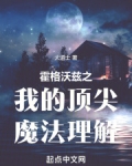 霍格沃茨之超级法神