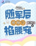 年代文军婚随军