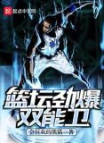篮坛劲爆双能卫TXT免费下载